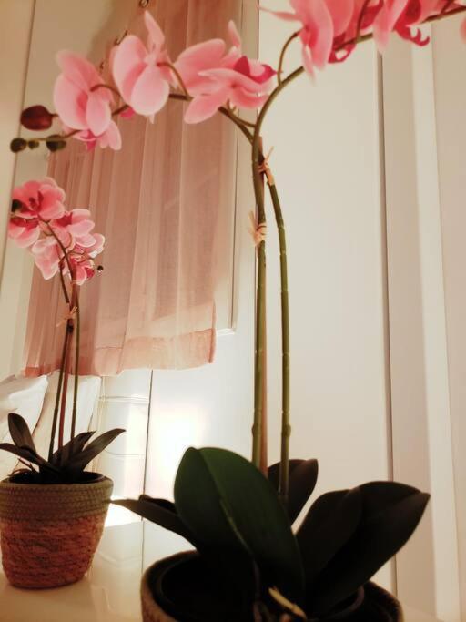Appartement Cosy Plein Centre Ницца Экстерьер фото